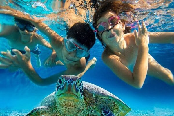 Swimming with the Turtles(Paradise Cove)